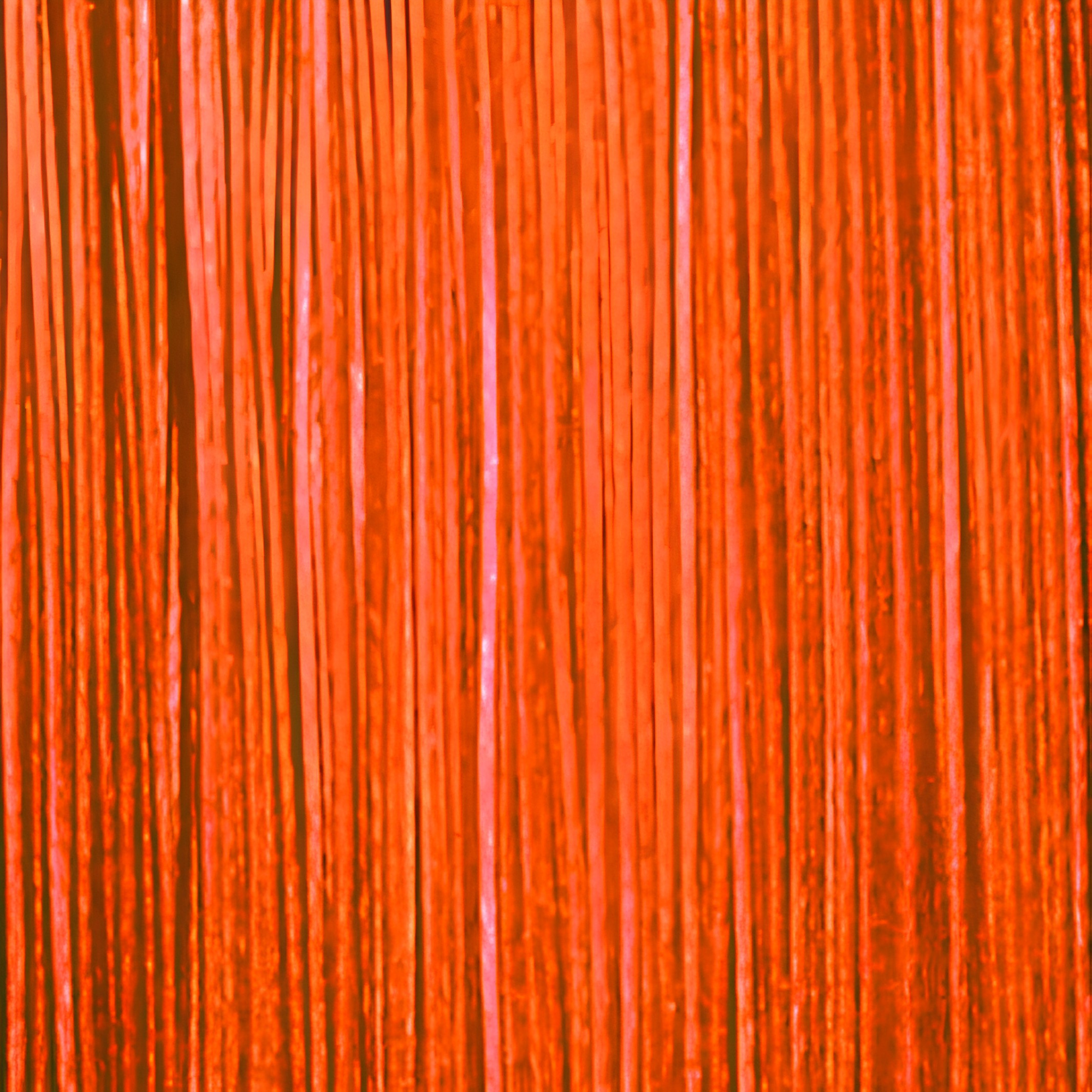 Westin W3 8-Braid Line Leader Dutch Orange