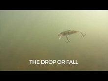 Load and play video in Gallery viewer, Rapala X-Rap Countdown Lure (5cm/Sinking/4g)(Muddler)