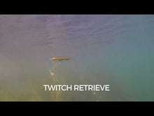 Load and play video in Gallery viewer, Rapala Original Floating Lure (RT - Rainbow Trout)(13cm/7g)

