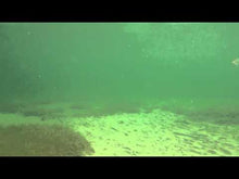 Load and play video in Gallery viewer, Strike Pro Wiggle Stick Lure (14cm/20.5g)(565V)