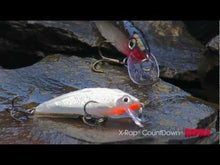 Load and play video in Gallery viewer, Rapala X-Rap Countdown Lure (5cm/Sinking/4g)(Muddler)