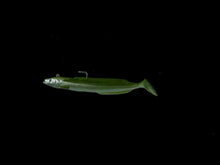 Load and play video in Gallery viewer, Westin Sandy Andy Jig Soft Lure (22g/13cm)(Clear Sky)