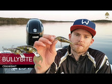 Load and play video in Gallery viewer, Westin BullyBite Crankbait Lure (6cm/Floating/9g)(Bling Perch)
