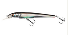 Load image into Gallery viewer, Berkley Hit Stick Lure (12cm/Floating/13.5g)(Silver Minnow)