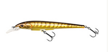Load image into Gallery viewer, Berkley Hit Stick Lure (12cm/Floating13.5g)(Juvenile Pike)