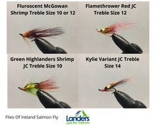 Load image into Gallery viewer, Flies Of Ireland Salmon Fly (1 Fly)
