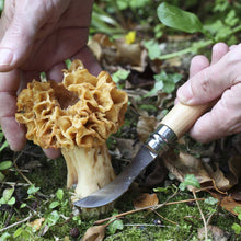 Load image into Gallery viewer, Opinel #8 Mushroom Knife
