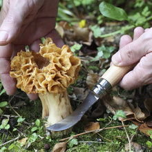 Load image into Gallery viewer, Opinel #8 Mushroom Knife
