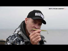 Load and play video in Gallery viewer, Savage Gear Sandeel Pencil 19g 01-Sandeel Lure