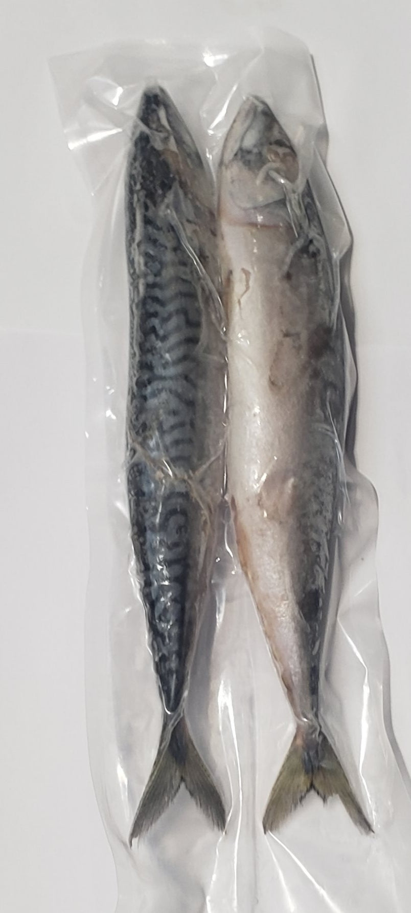 Frozen Bait - Mackerel (2 Pack)(COLLECTION ONLY)