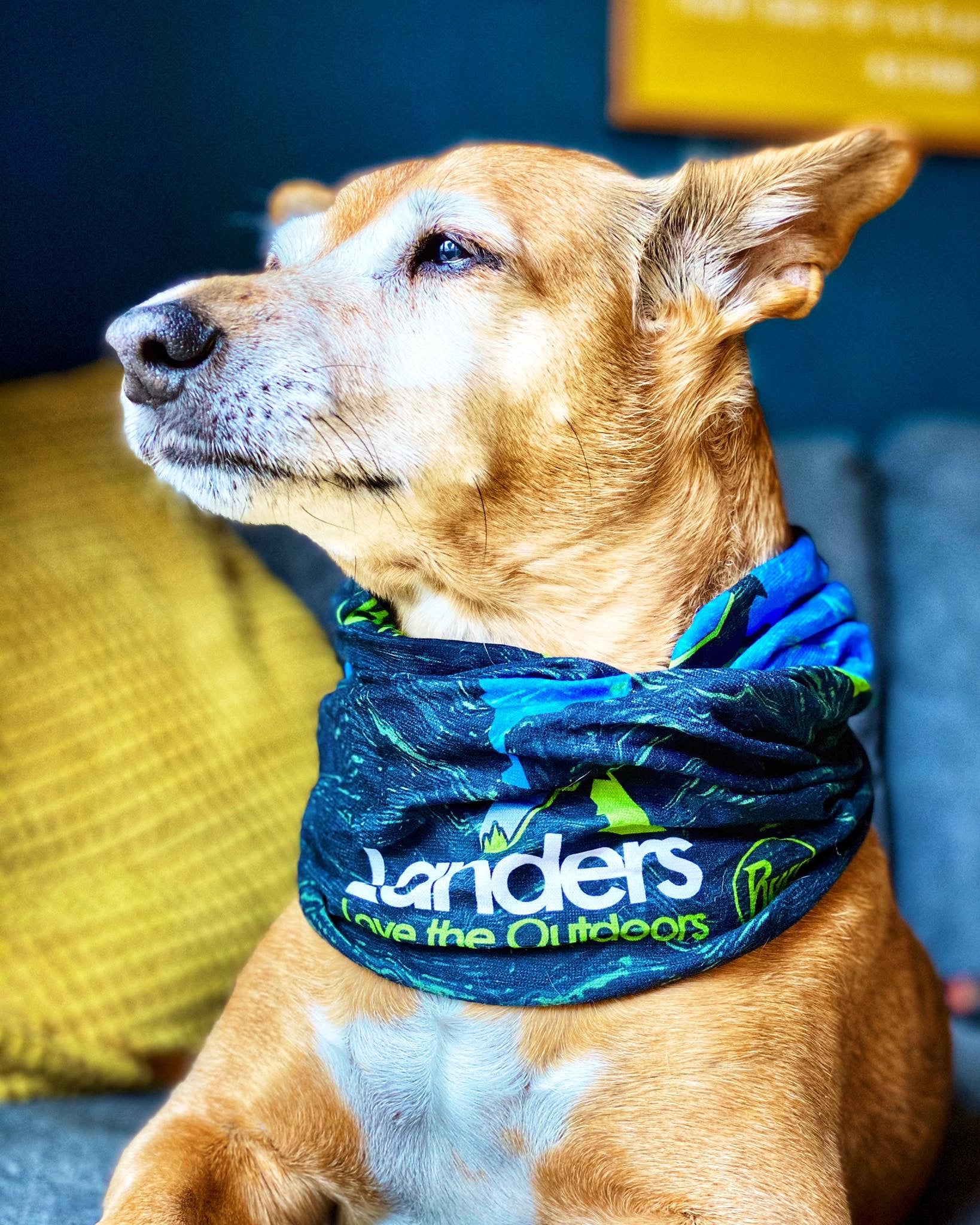 Original Ecostretch Buff (Landers Tralee Bay)
