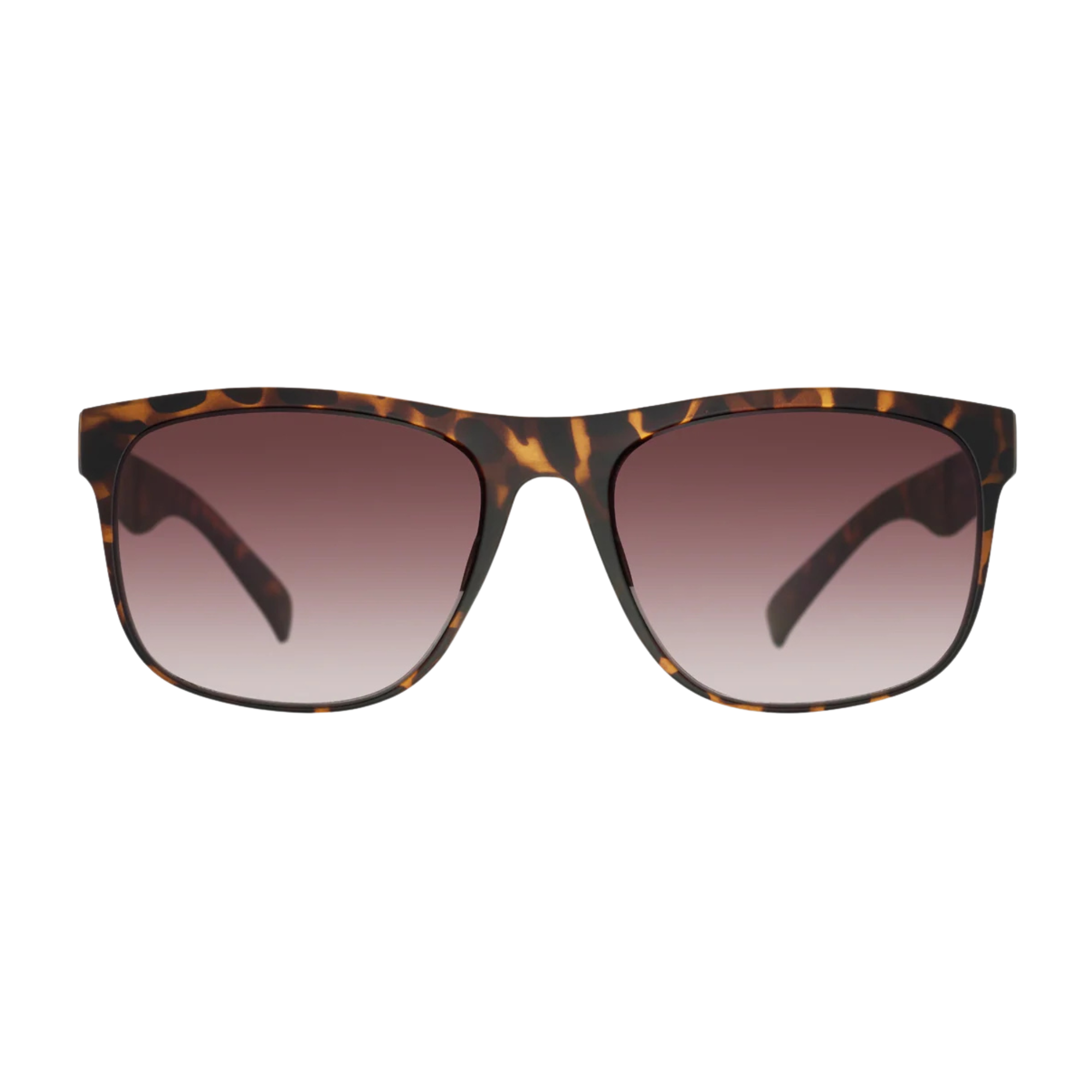 Bloc Eyewear Elba Sunglasses (Brown Graduated Lens/Matt Tortoiseshell Frame)