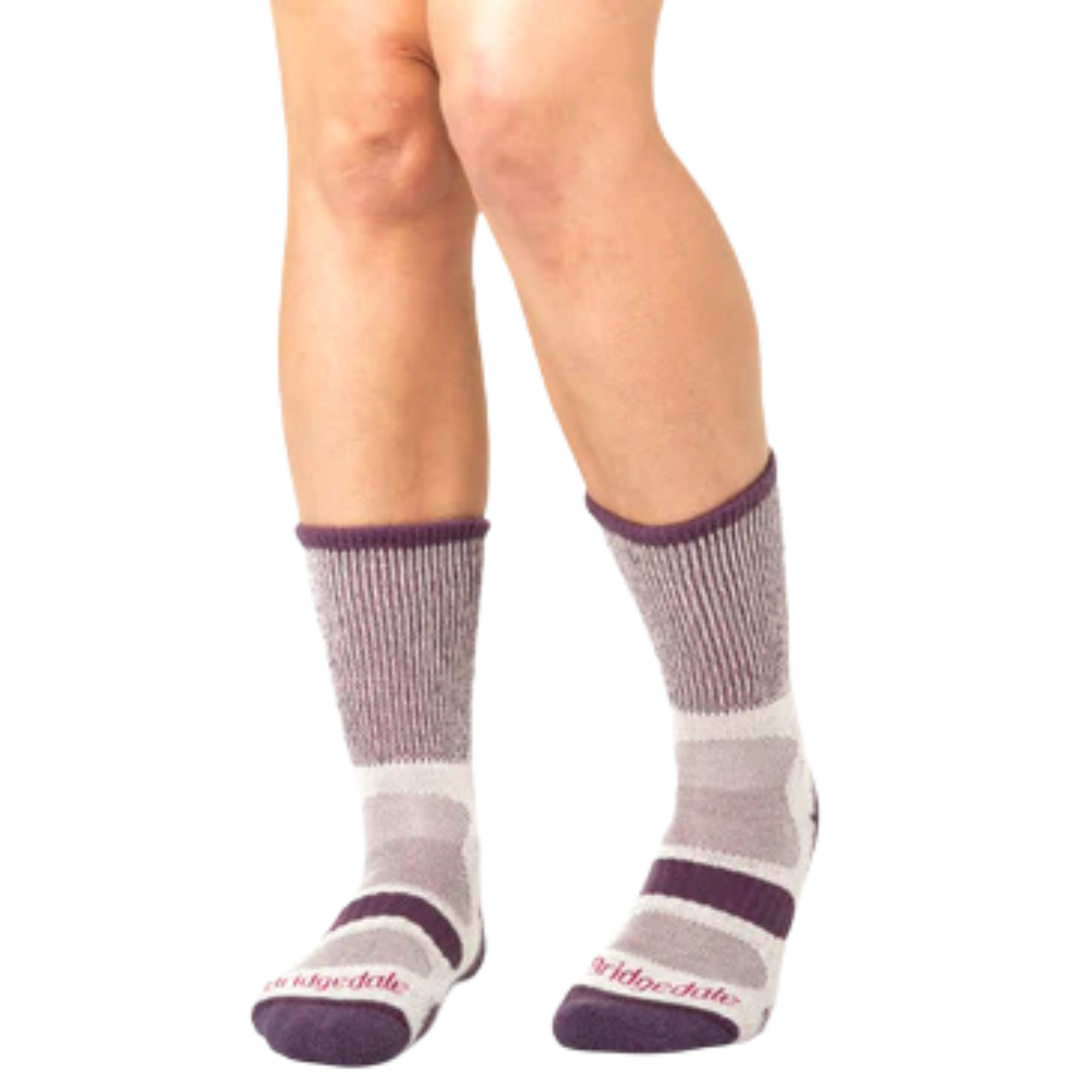 Bridgedale Women's Hike Lightweight Cotton Comfort Boot Length Socks (Plum)