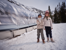 Load image into Gallery viewer, Columbia Kids Helvetia II Sherpa Half Snap Fleece Top (Dark Stone/Stone Green)(Ages 4-18)
