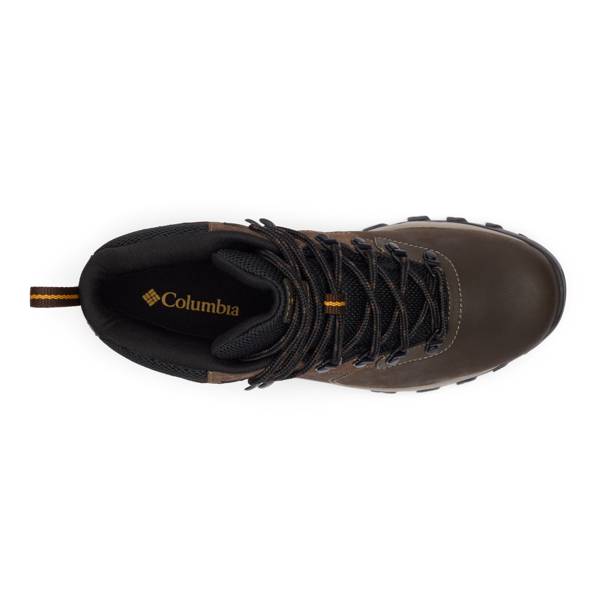 Columbia Men's Newton Ridge Plus II Waterproof Trail Boots (Cordovan/Squash)