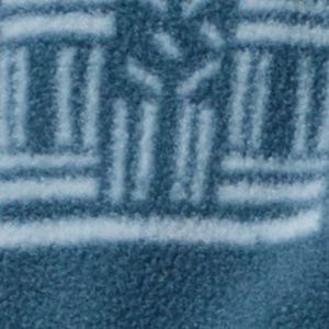 Columbia Women's Benton Springs Printed 1/2 Snap Fleece (Everblue Deschutes Days)