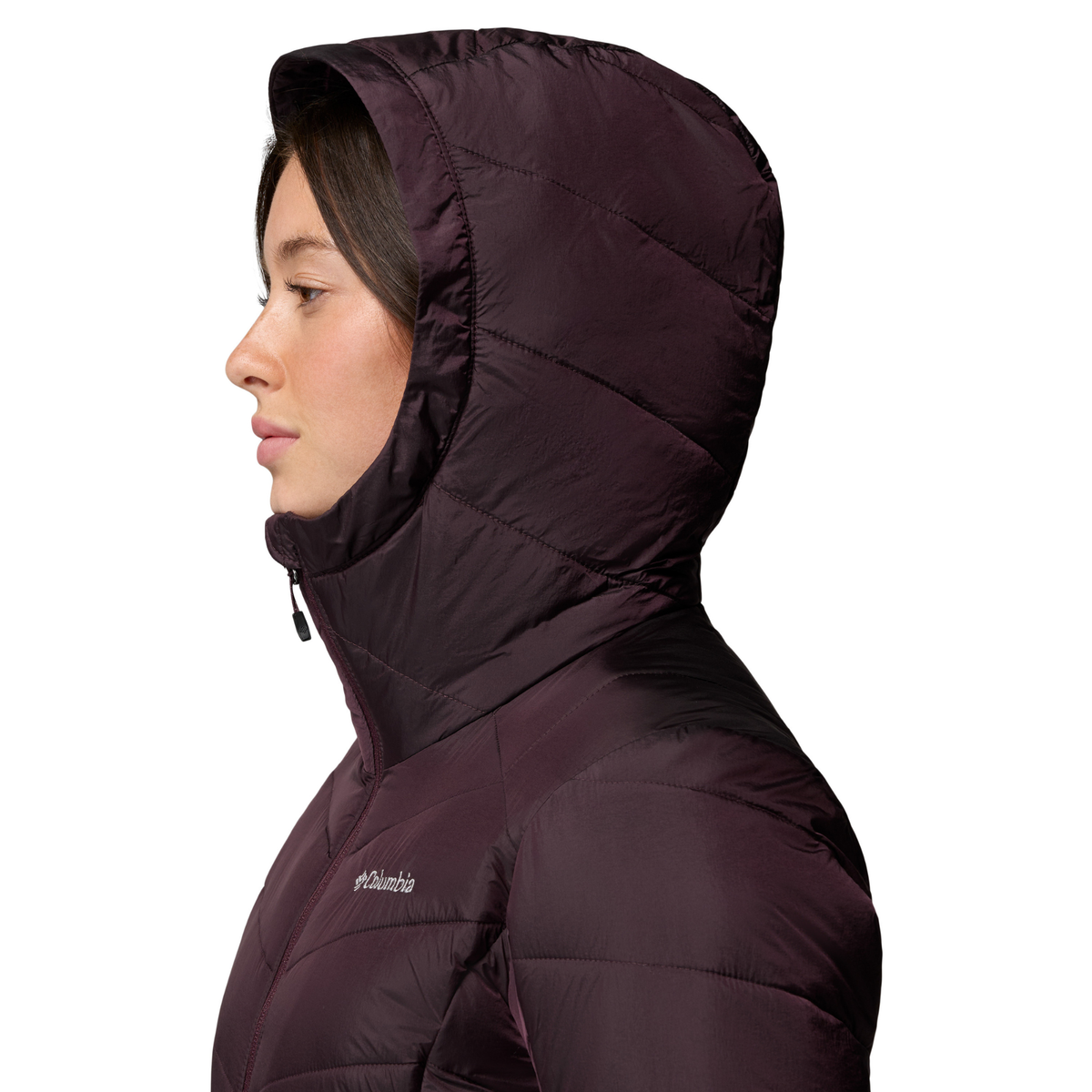 Columbia Women's Joy Peak II Hooded Insulated Jacket (Moonvista Shine)