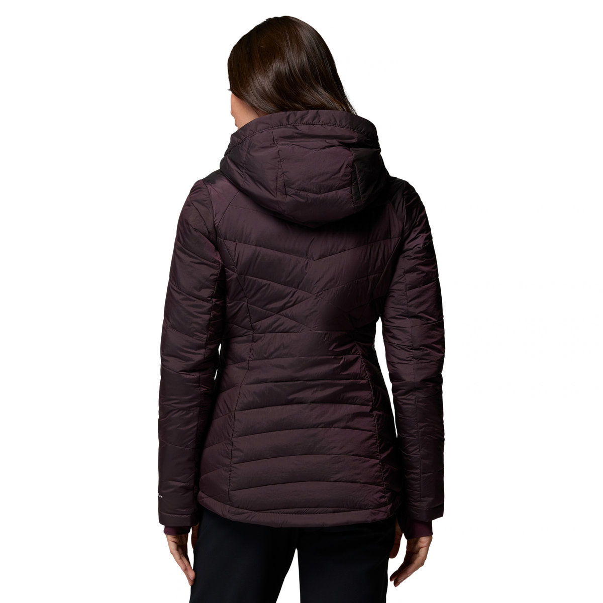 Columbia Women's Joy Peak II Hooded Insulated Jacket (Moonvista Shine)