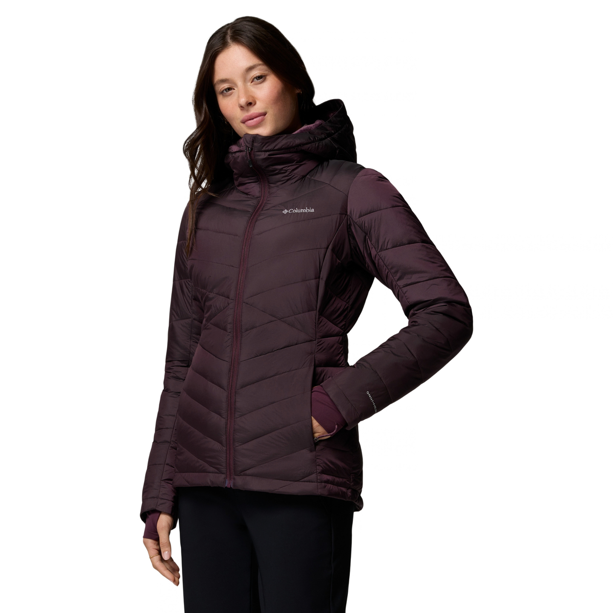 Columbia Women's Joy Peak II Hooded Insulated Jacket (Moonvista Shine)