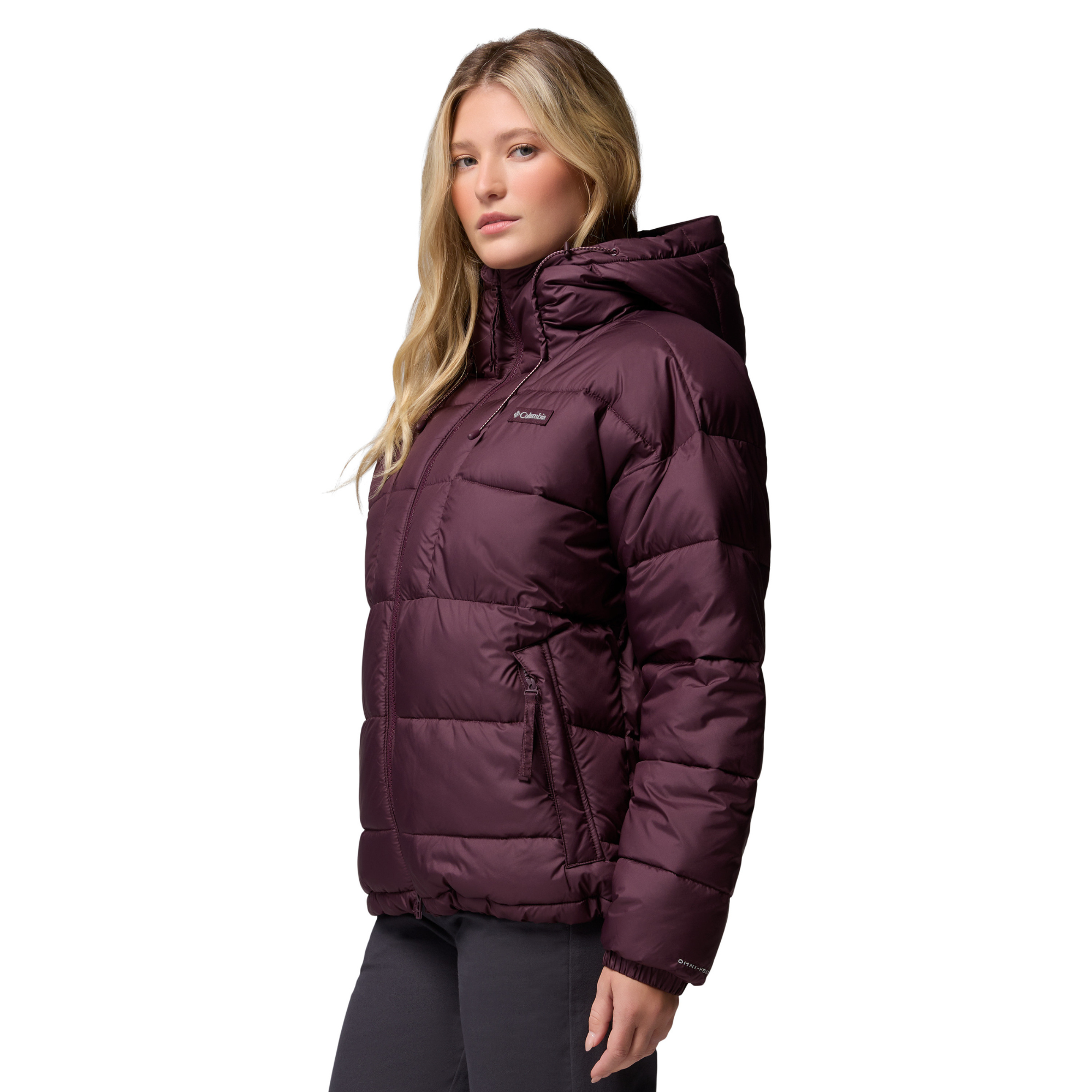 Columbia Women's Pike Lake III Hooded Insulated Jacket Moonvista 607 2133563