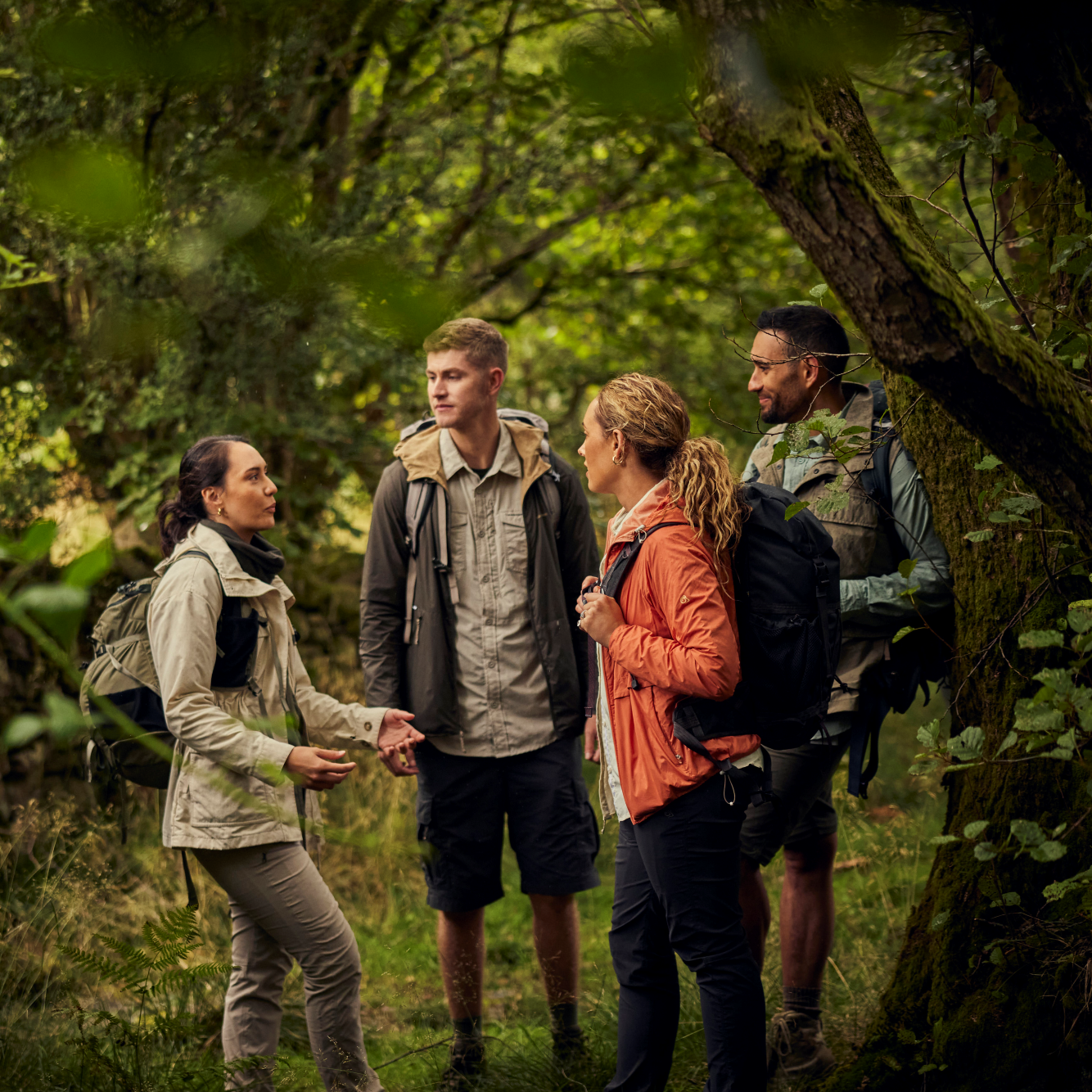 Four people standing in a forest, engaged in conversation. Man wearing Craghoppers Men's NosiLife III Cargo Shorts 10.5 inch Black Pepper 7J8 CMJ651