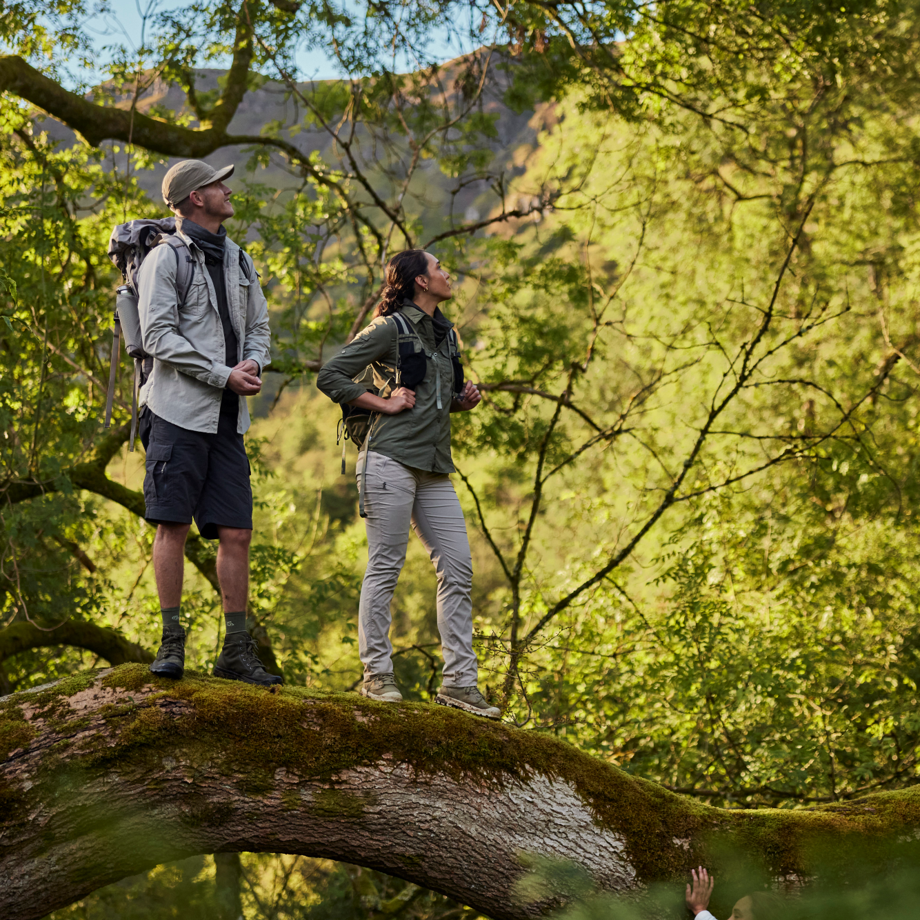 Two hikers standing on a fallen tree in a forest. Man wearing Craghoppers Men's NosiLife III Cargo Shorts 10.5 inch Black Pepper 7J8 CMJ651