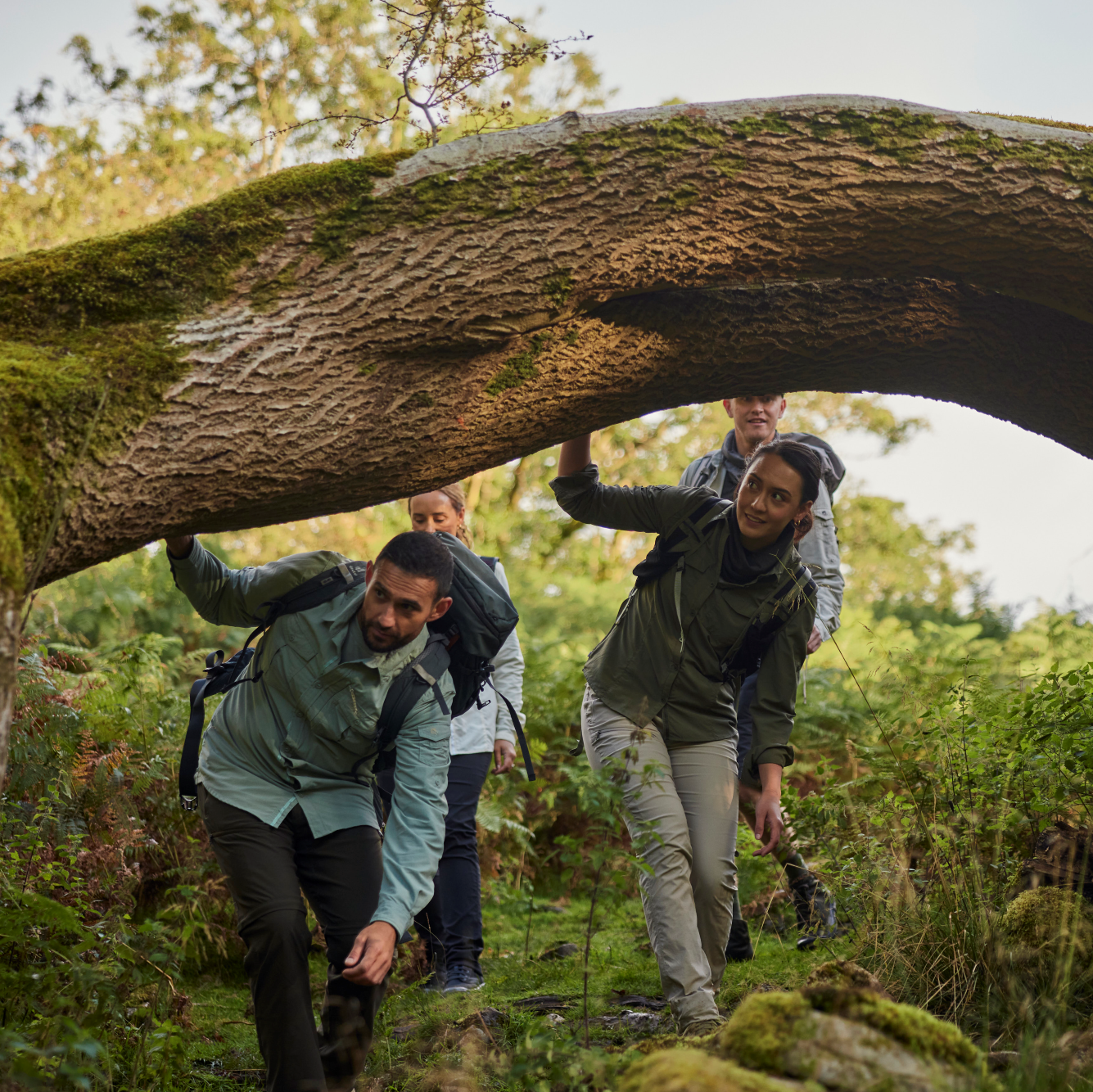 People walking underneath fallen tree in the forest. Woman wearing Craghoppers Women's Nosilife Pro III Insect Repellent UPF50 Trousers Soft Mushroom KD7 CWJ1373