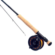 Load image into Gallery viewer, Daiwa 8ft D Trout Fly 4 Section Rod Combo (Rod, Reel &amp; Line)
