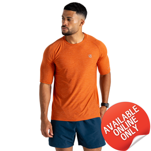 Dare 2B Men's Power Up Short Sleeve Technical Tee (Spicy Route Marl)