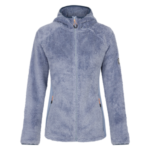 Dare 2B Women's Torrek Mountain Pro Midlayer Hooded Full Zip Fleece (Rainwashed Blue)