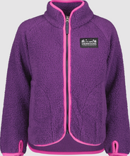 Load image into Gallery viewer, Didriksons Kids Gibbs Full Zip Fleece Jacket (Royal Purple)(Ages 1-10)
