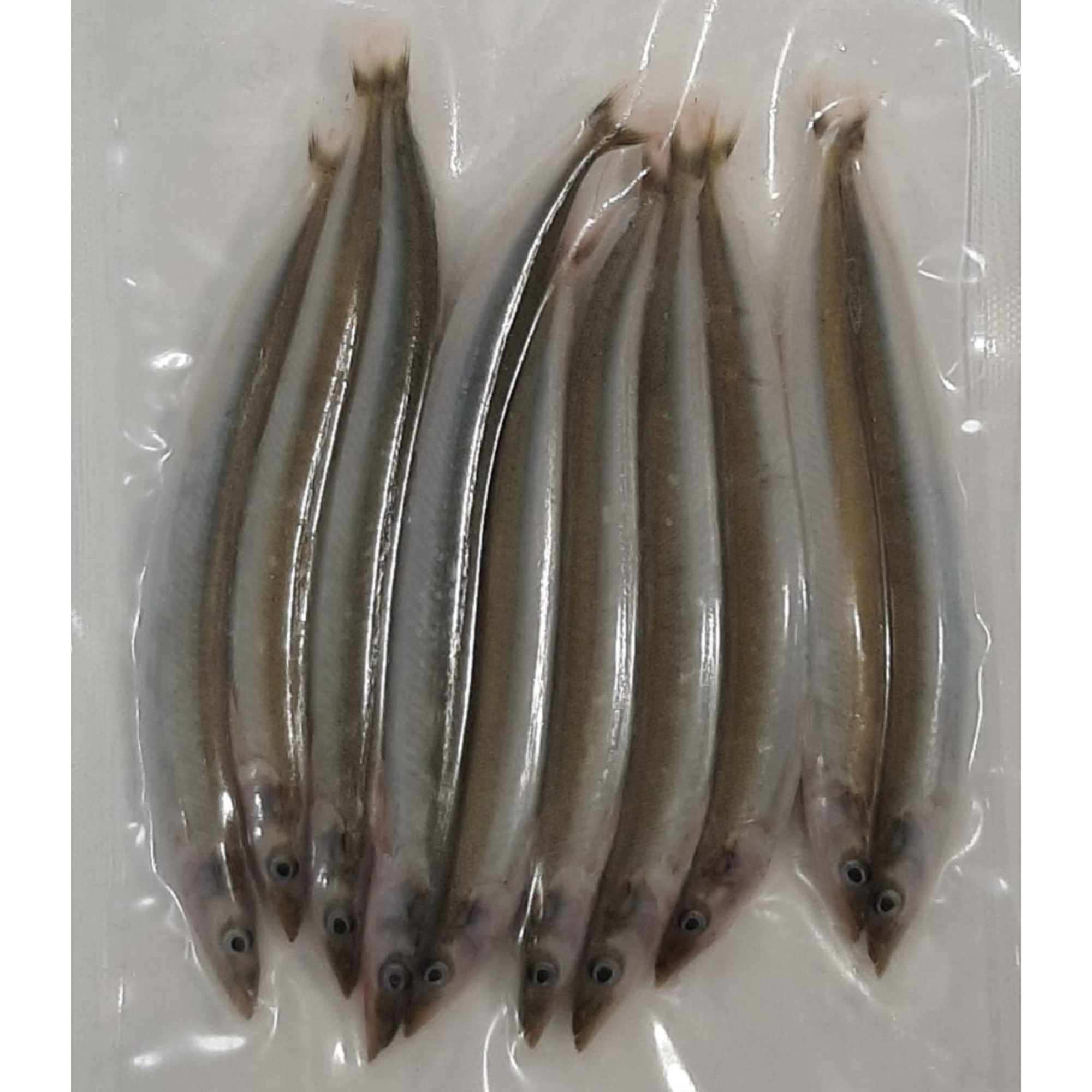 Frozen Bait - Sandeels (Medium)