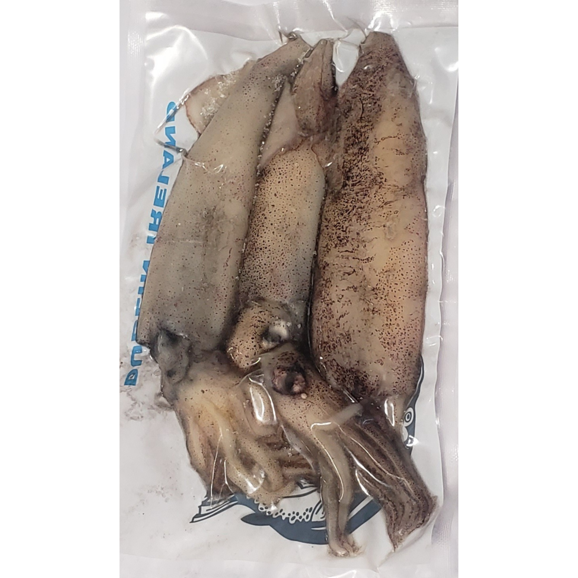 Frozen Bait - Vack Pack Squid