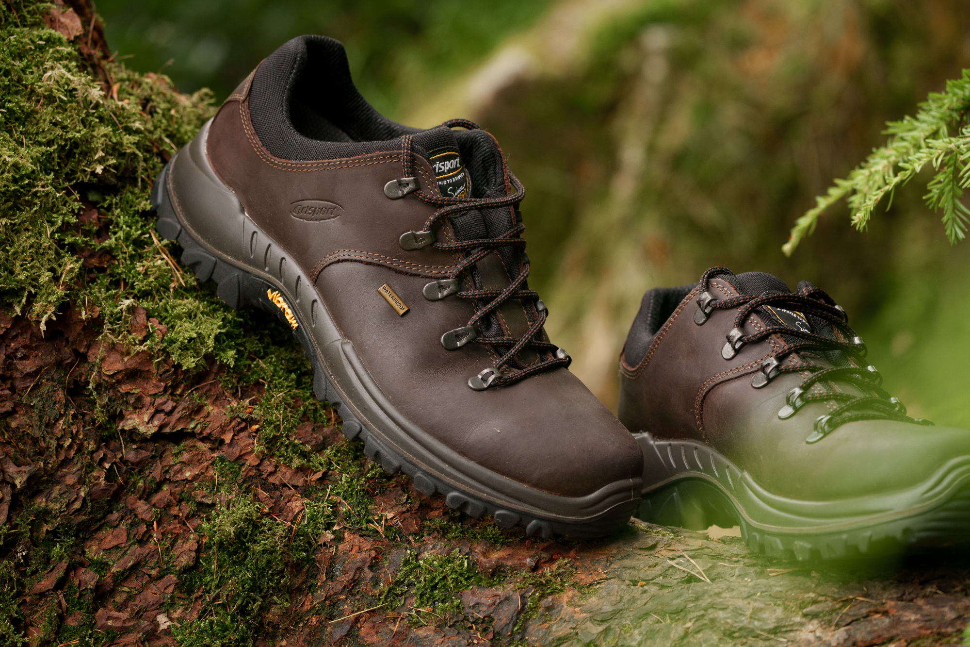 Grisport Men's Dartmoor Waterproof Walking Shoes (Brown)