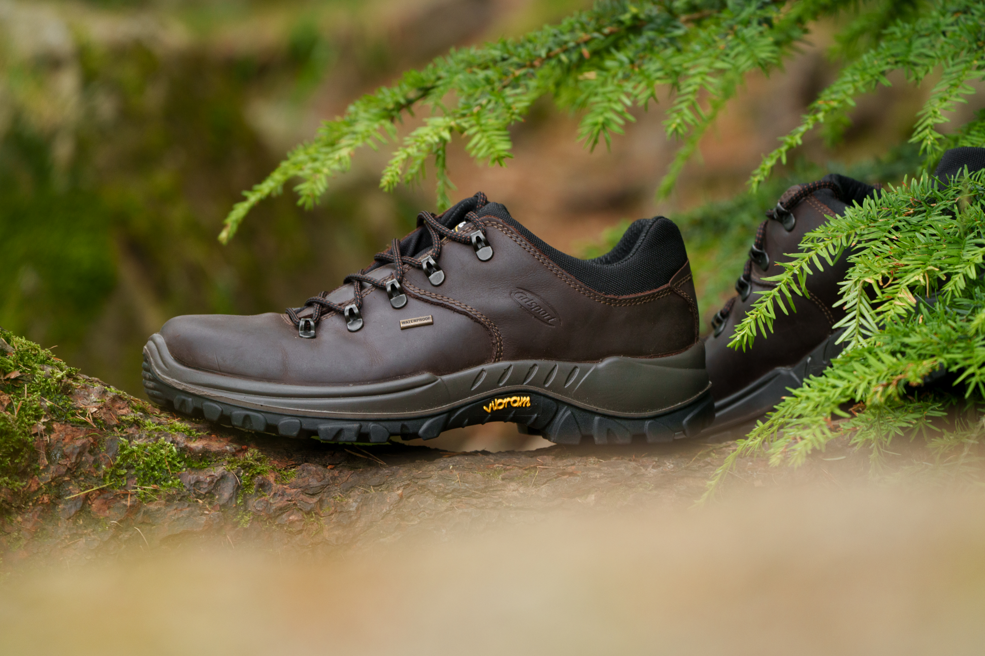 Grisport Men's Dartmoor Waterproof Walking Shoes (Brown)