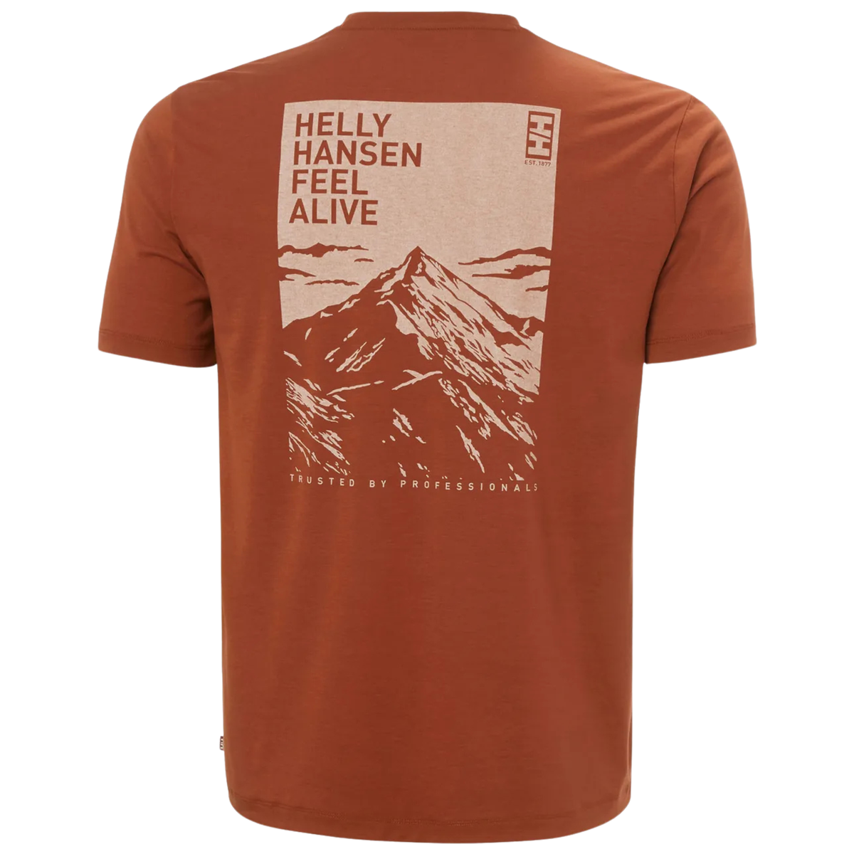 Helly Hansen Men's Skog UPF50 Recycled Graphic Short Sleeve Tee Iron Oxide 300 63082