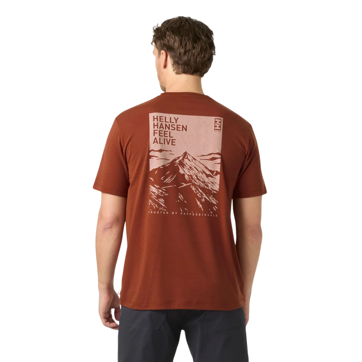 Helly Hansen Men's Skog UPF50 Recycled Graphic Short Sleeve Tee Iron Oxide 300 63082