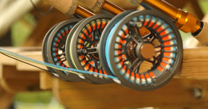 JMC Soon Trout Brass Knob Fly Fishing Reel (#6/8)