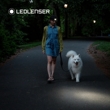 Load image into Gallery viewer, Ledlenser HF4R CORE Rechargeable Headlamp (Teal)
