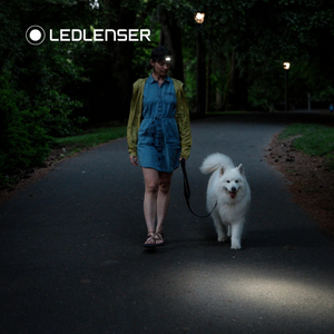 Ledlenser HF4R CORE Rechargeable Headlamp (Teal)