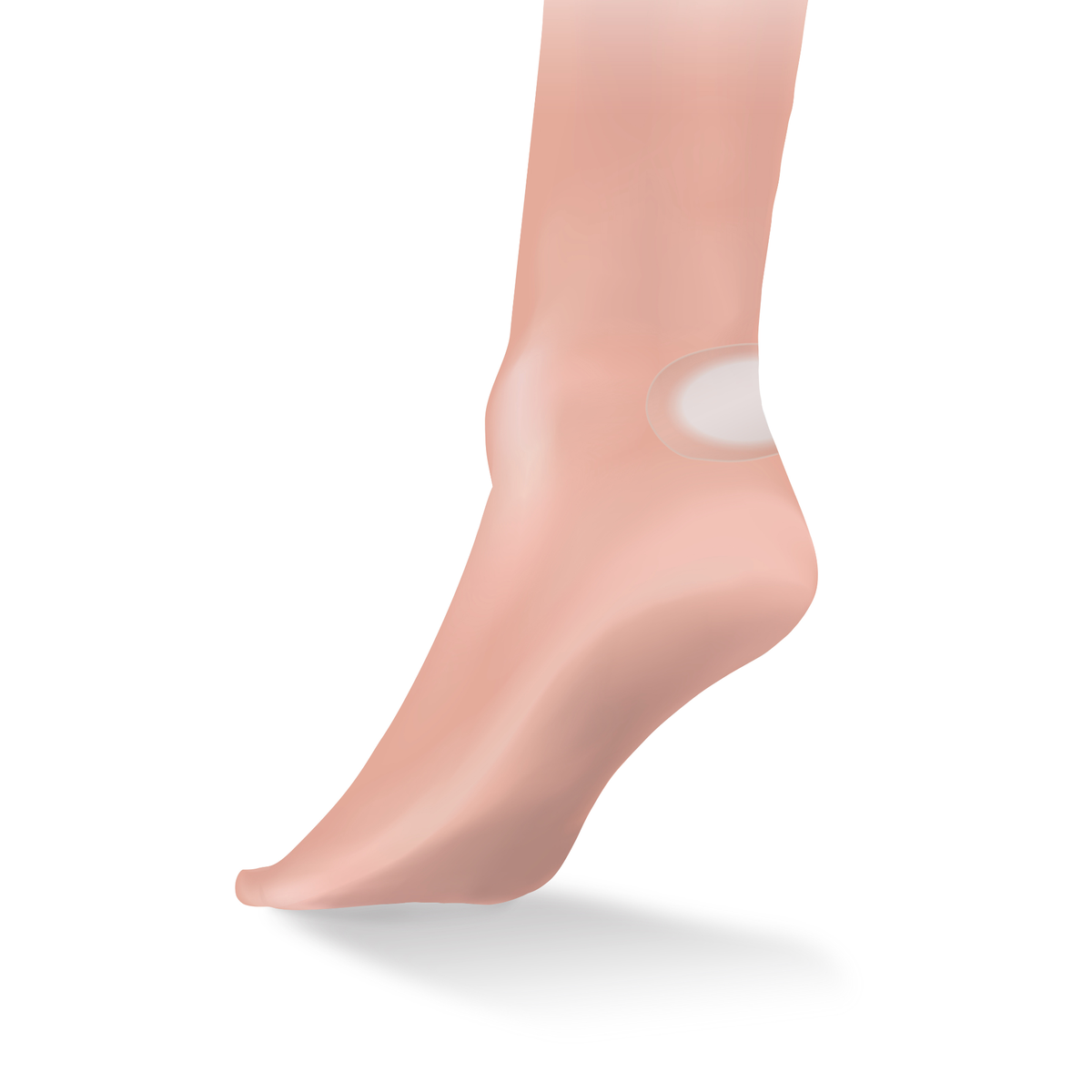 Lifesystems Blister Plasters (6 Pack)