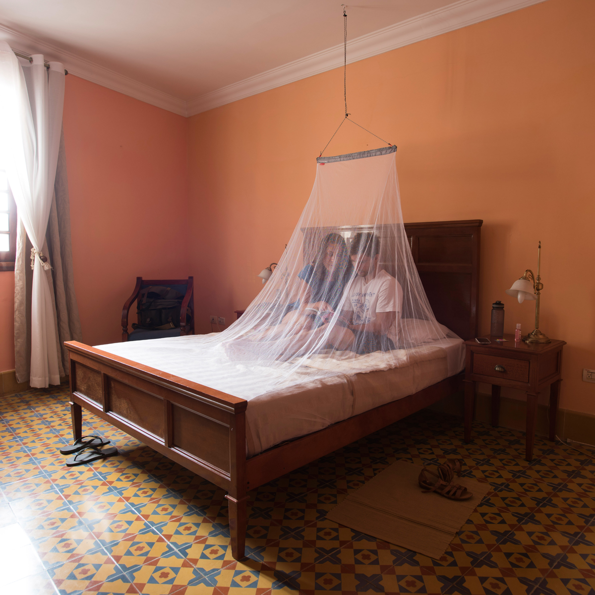 Lifesystems MicroNet Mosquito Net (Double)