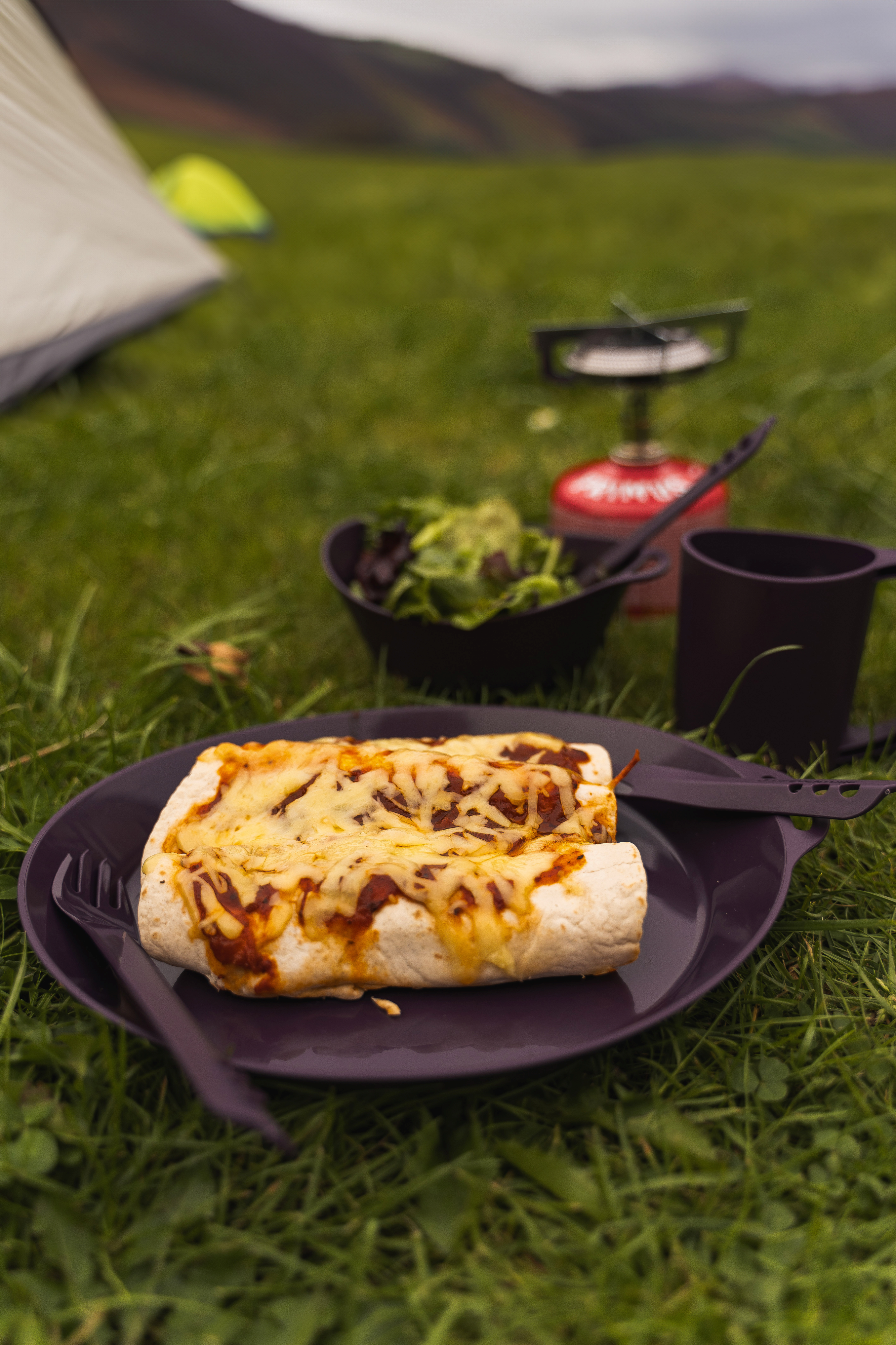 Lifeventure Ellipse 4 Piece Camping Tableware Set (Purple)