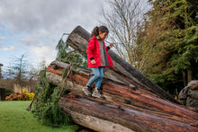 Load image into Gallery viewer, Merrell Kids Moab 3 Waterproof Mid Trail Boots (Boulder/Red)(UKJ11-UK6)
