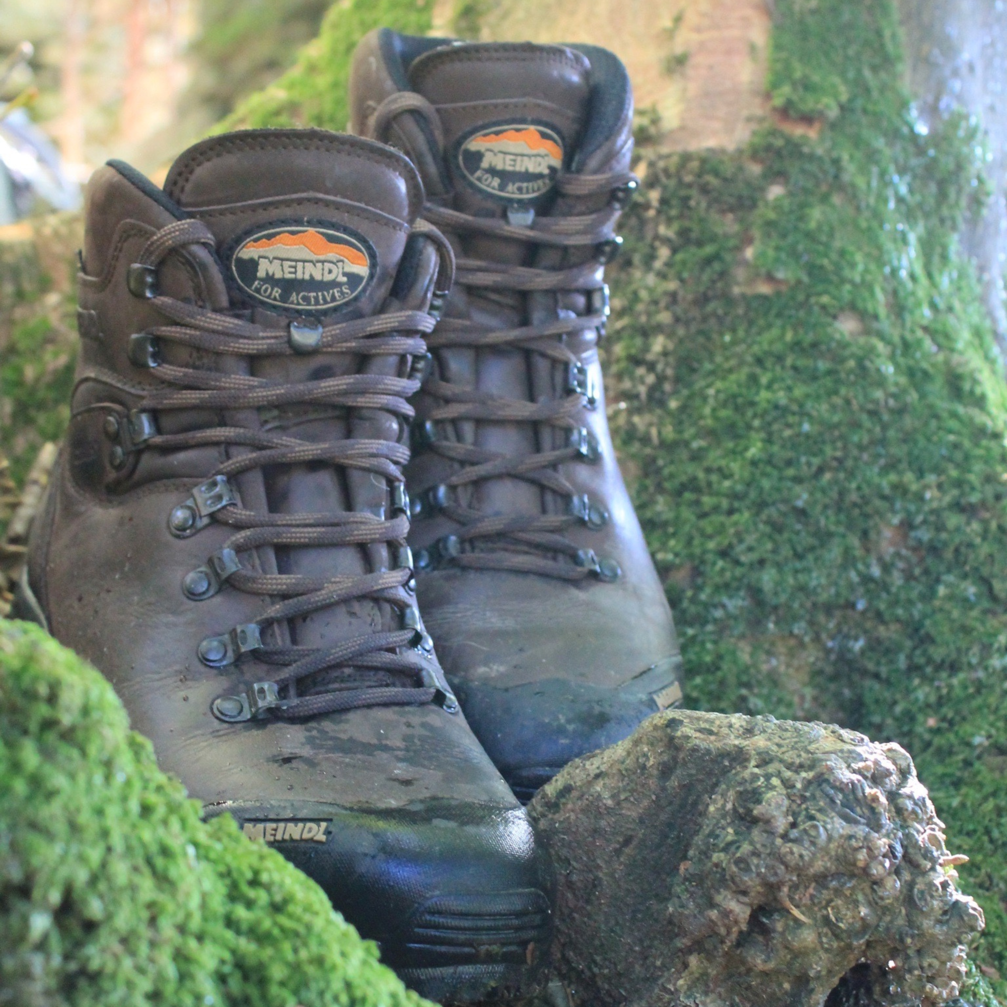 Meindl Men's Kansas Gore-Tex Hillwalking Boots (Old Loden)