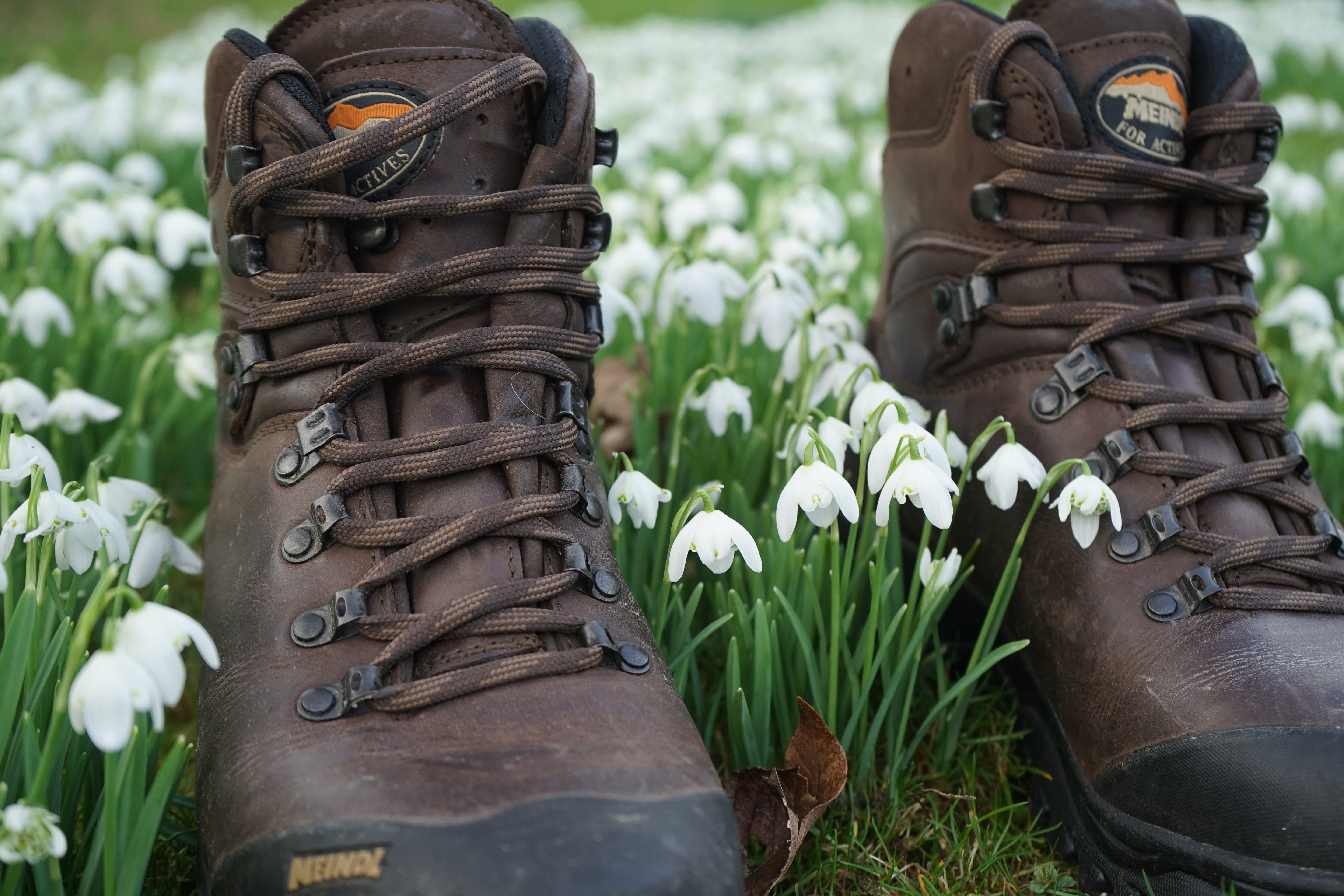 Meindl Men's Kansas Gore-Tex Hillwalking Boots (Old Loden)