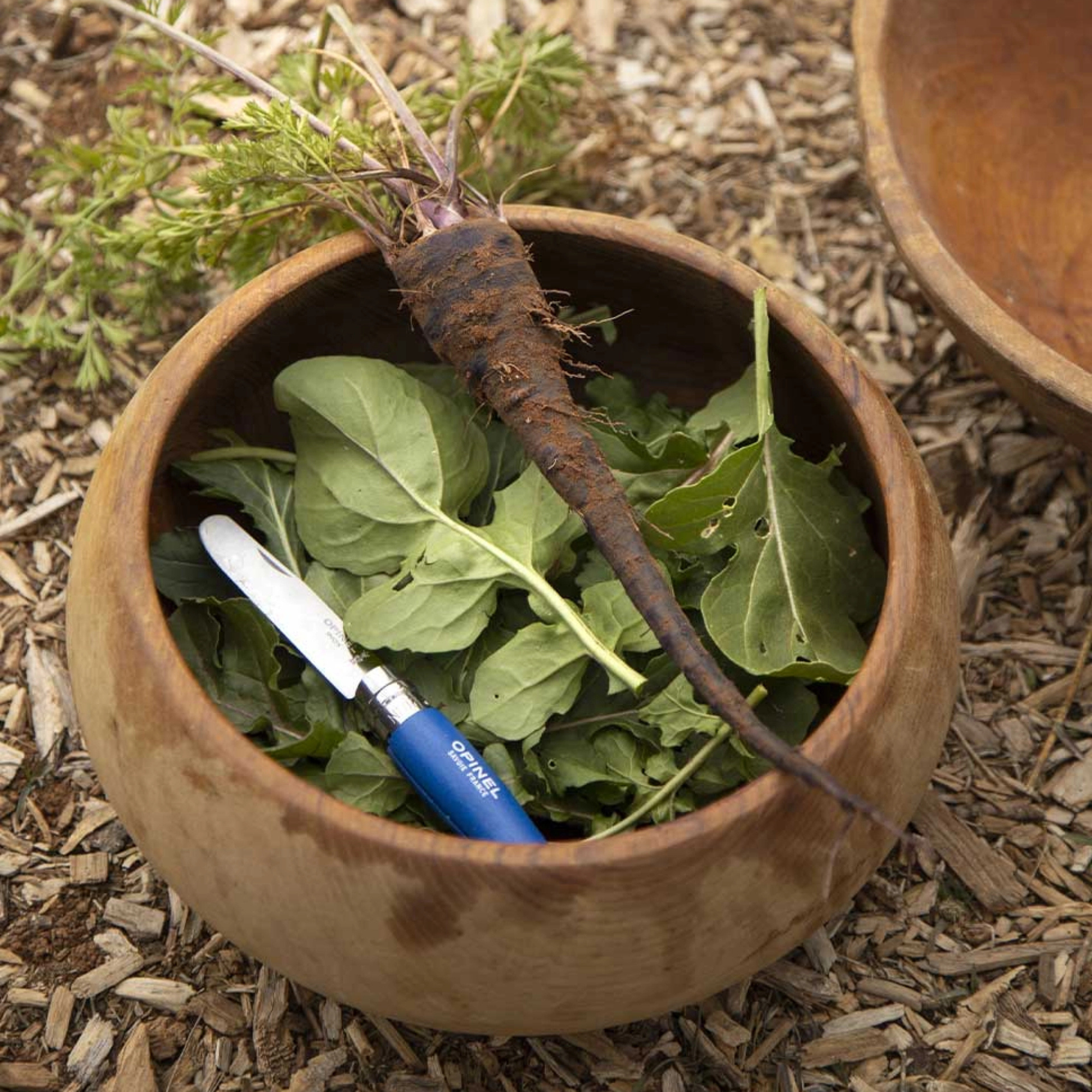 My First Opinel Kids #7 Stainless Steel Round Ended Knife (Blue)