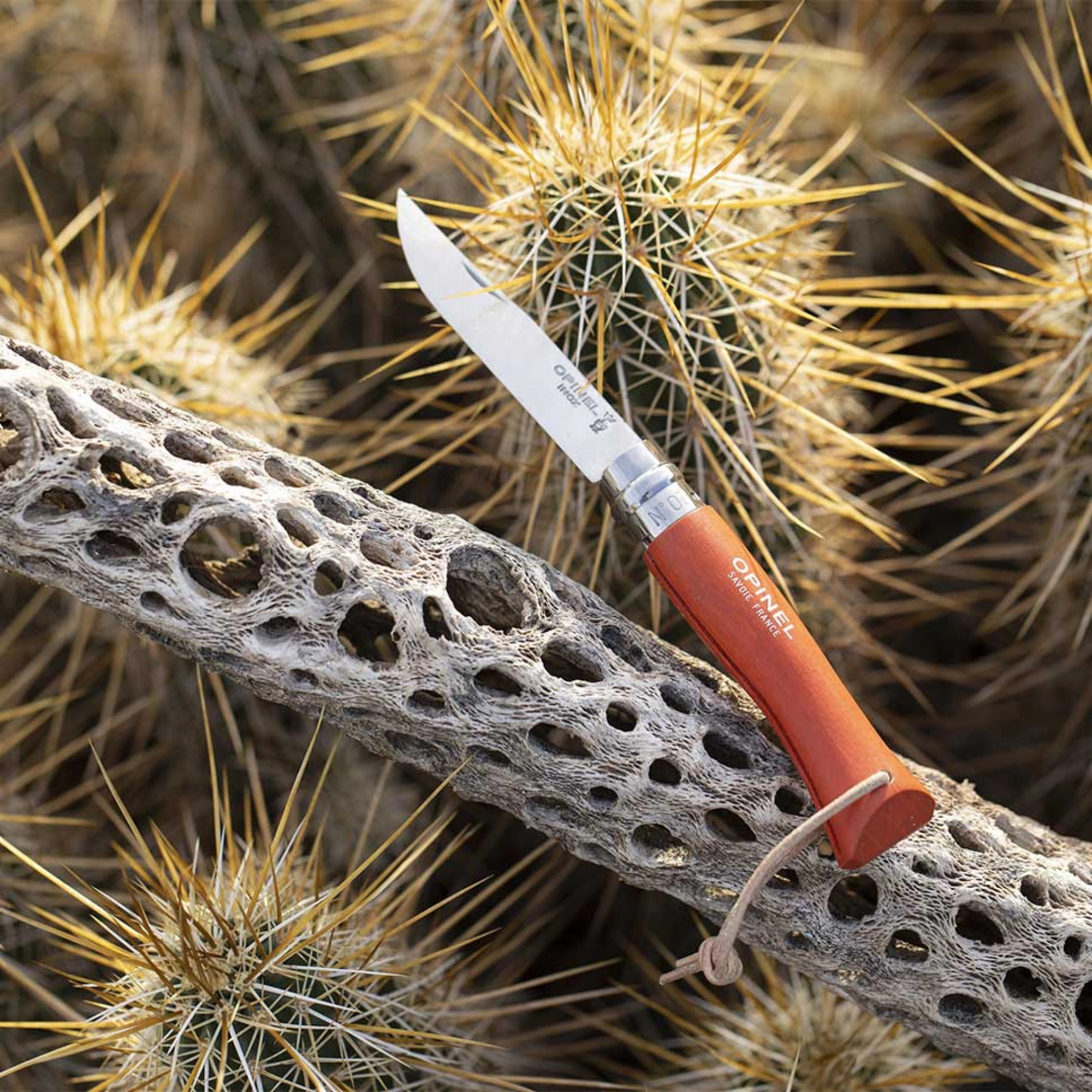 Opinel #7 Stainless Steel Bushwhacker Trekking Folding Pocket Knife (Orange)