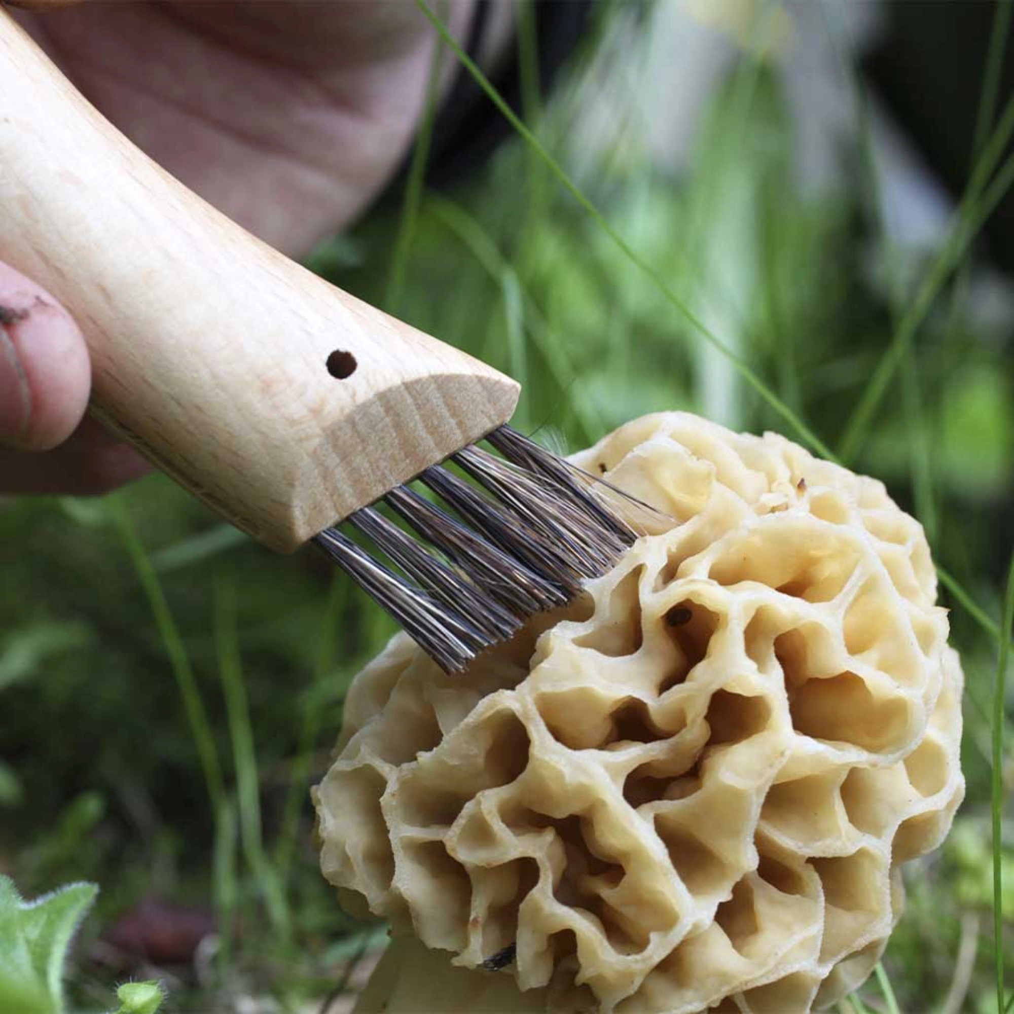 Opinel #8 Mushroom Knife
