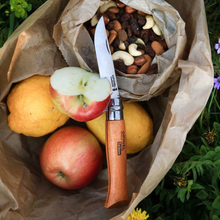 Load image into Gallery viewer, Opinel #9 Carbon Blade Folding Pocket Knife (Blister Packed)
